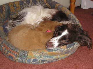 Both curled up together