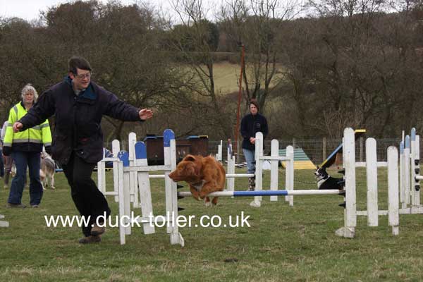 Ari doing Agility