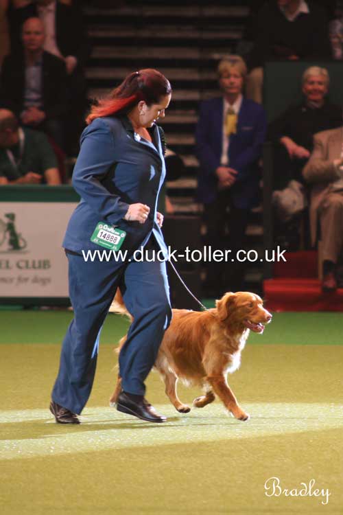 Ari & Sharne in the Group ring at Crufts 2009