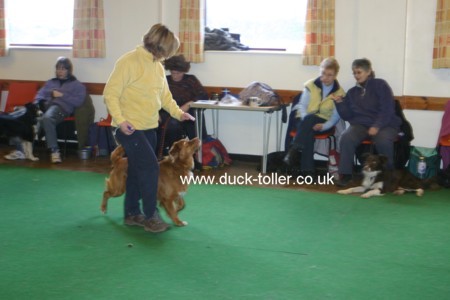 Fergus working on follow