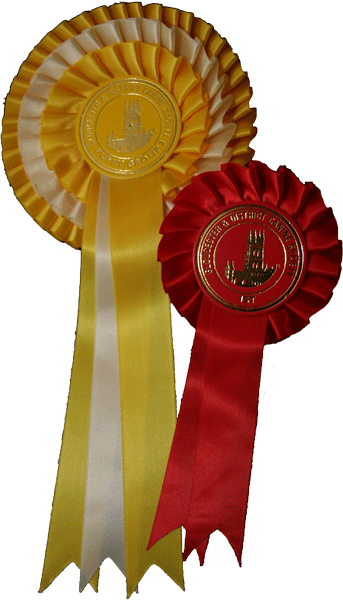 Gloucester & District Rosettes