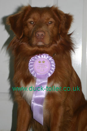 Rupert with his first Clear Round Rosette