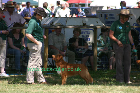 Rupert in the NSDTR Club Display Team at the CLA Game Fair