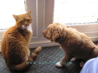 Initially not interested in each other