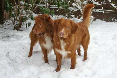 First snow of the winter