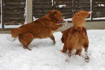 First snow of the winter