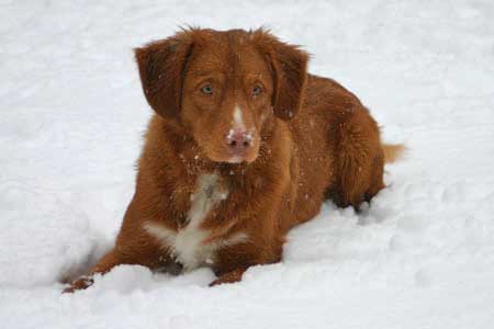 First snow of the winter