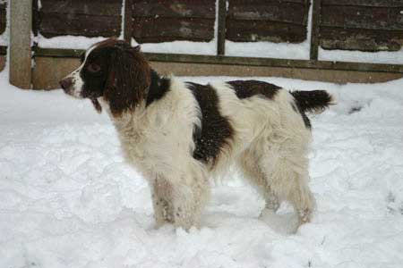 First snow of the winter