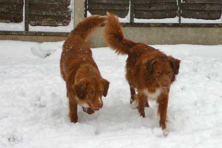 First snow of the winter