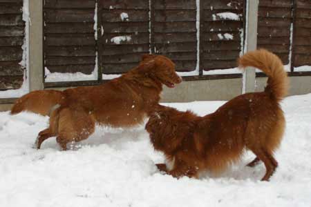 First snow of the winter