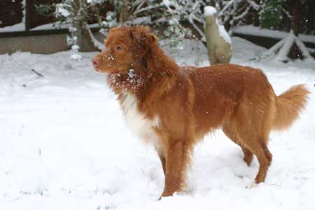 First snow of the winter